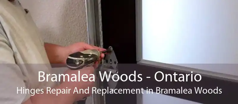 Bramalea Woods - Ontario Hinges Repair And Replacement in Bramalea Woods
