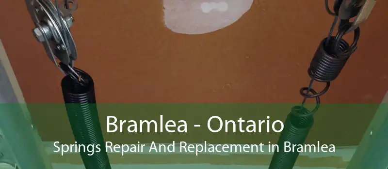 Bramlea - Ontario Springs Repair And Replacement in Bramlea