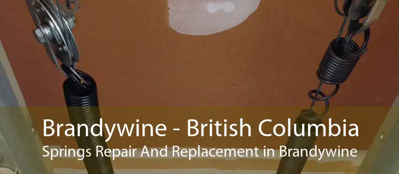 Brandywine - British Columbia Springs Repair And Replacement in Brandywine