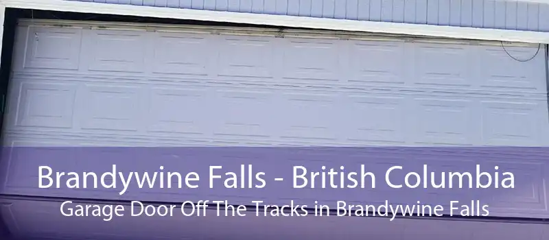 Brandywine Falls - British Columbia Garage Door Off The Tracks in Brandywine Falls