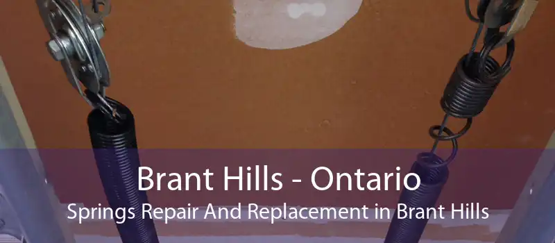 Brant Hills - Ontario Springs Repair And Replacement in Brant Hills