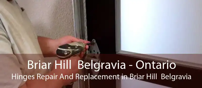 Briar Hill  Belgravia - Ontario Hinges Repair And Replacement in Briar Hill  Belgravia