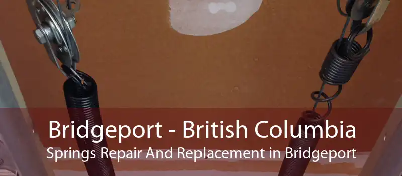 Bridgeport - British Columbia Springs Repair And Replacement in Bridgeport