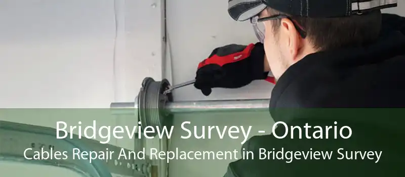Bridgeview Survey - Ontario Cables Repair And Replacement in Bridgeview Survey