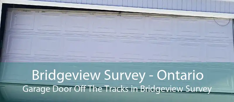 Bridgeview Survey - Ontario Garage Door Off The Tracks in Bridgeview Survey