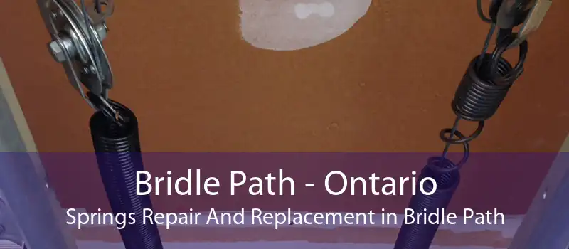 Bridle Path - Ontario Springs Repair And Replacement in Bridle Path