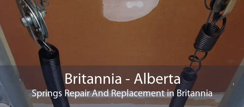 Britannia - Alberta Springs Repair And Replacement in Britannia