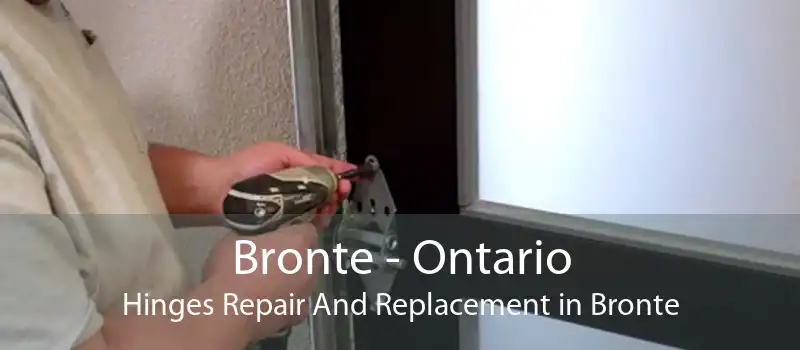 Bronte - Ontario Hinges Repair And Replacement in Bronte