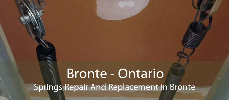Bronte - Ontario Springs Repair And Replacement in Bronte