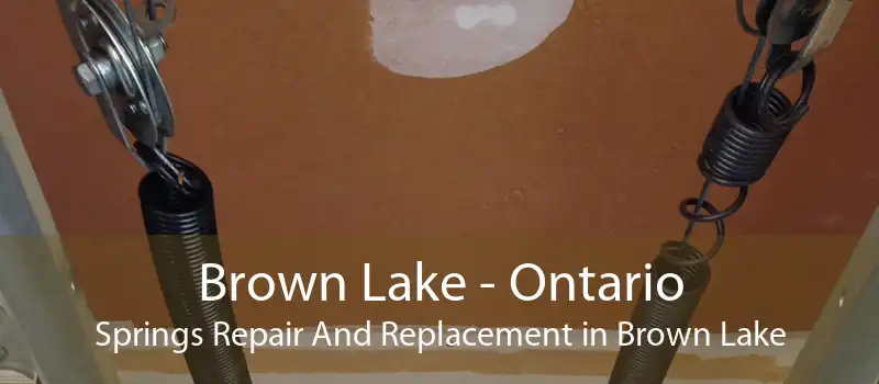 Brown Lake - Ontario Springs Repair And Replacement in Brown Lake