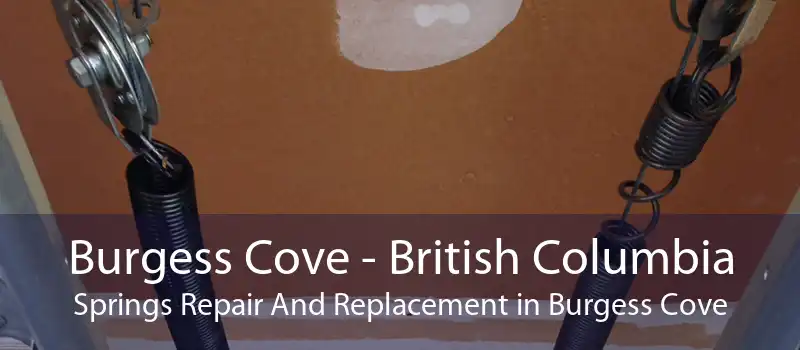 Burgess Cove - British Columbia Springs Repair And Replacement in Burgess Cove