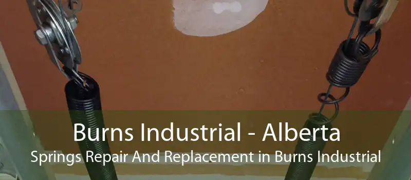 Burns Industrial - Alberta Springs Repair And Replacement in Burns Industrial