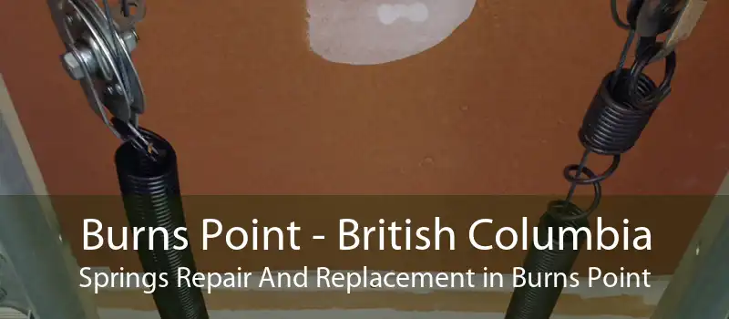 Burns Point - British Columbia Springs Repair And Replacement in Burns Point