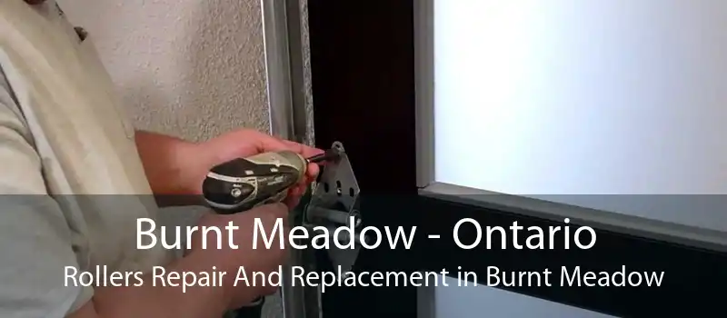 Burnt Meadow - Ontario Rollers Repair And Replacement in Burnt Meadow