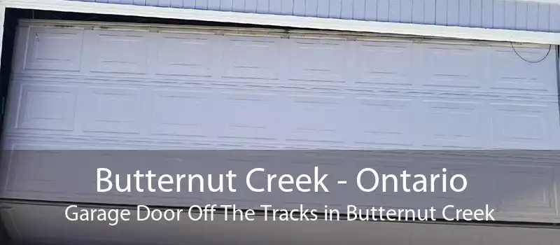 Butternut Creek - Ontario Garage Door Off The Tracks in Butternut Creek