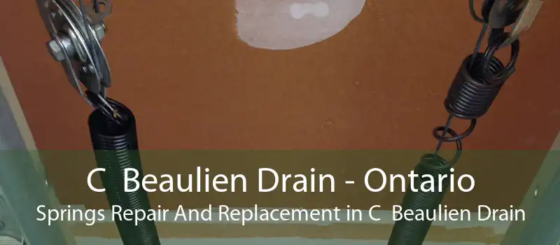 C  Beaulien Drain - Ontario Springs Repair And Replacement in C  Beaulien Drain