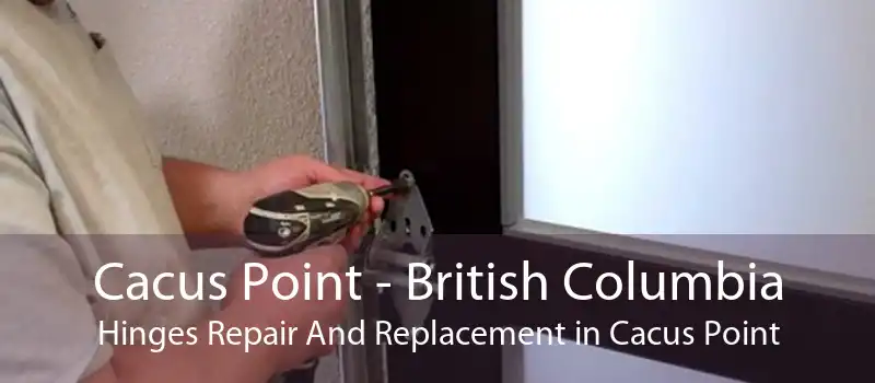 Cacus Point - British Columbia Hinges Repair And Replacement in Cacus Point
