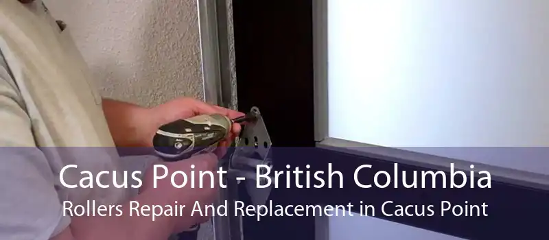 Cacus Point - British Columbia Rollers Repair And Replacement in Cacus Point