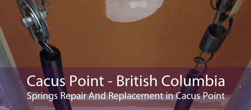 Cacus Point - British Columbia Springs Repair And Replacement in Cacus Point