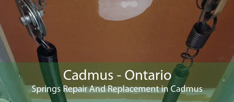 Cadmus - Ontario Springs Repair And Replacement in Cadmus