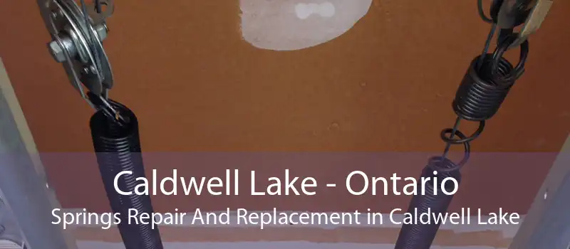 Caldwell Lake - Ontario Springs Repair And Replacement in Caldwell Lake