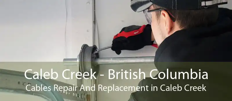 Caleb Creek - British Columbia Cables Repair And Replacement in Caleb Creek