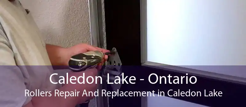 Caledon Lake - Ontario Rollers Repair And Replacement in Caledon Lake