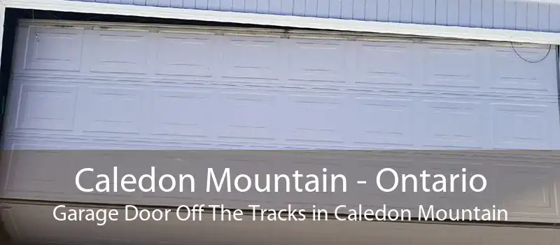 Caledon Mountain - Ontario Garage Door Off The Tracks in Caledon Mountain