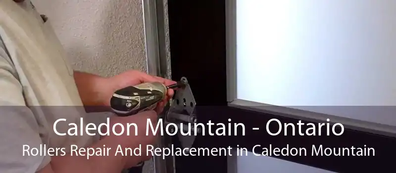 Caledon Mountain - Ontario Rollers Repair And Replacement in Caledon Mountain