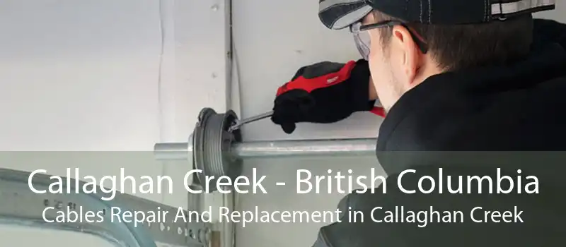Callaghan Creek - British Columbia Cables Repair And Replacement in Callaghan Creek