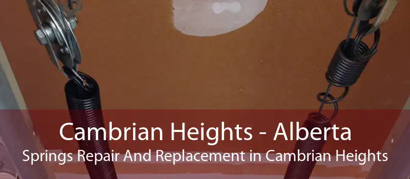 Cambrian Heights - Alberta Springs Repair And Replacement in Cambrian Heights