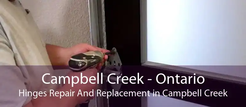 Campbell Creek - Ontario Hinges Repair And Replacement in Campbell Creek