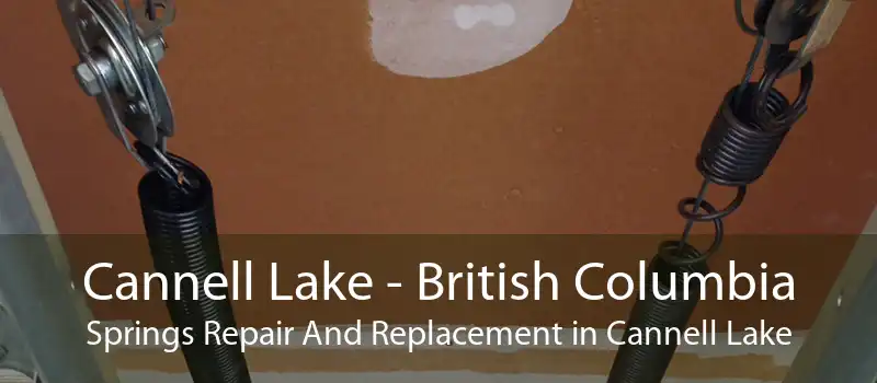 Cannell Lake - British Columbia Springs Repair And Replacement in Cannell Lake