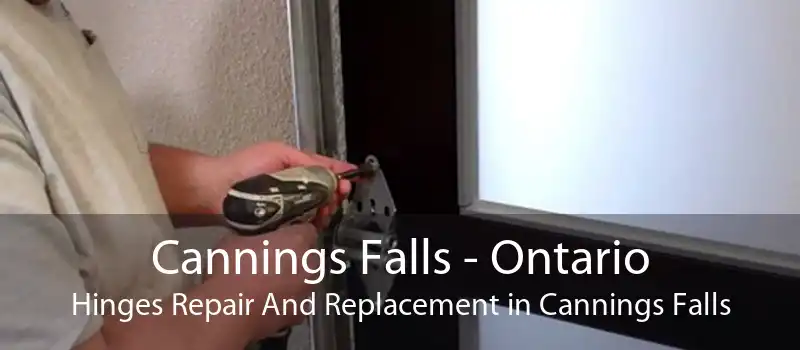 Cannings Falls - Ontario Hinges Repair And Replacement in Cannings Falls