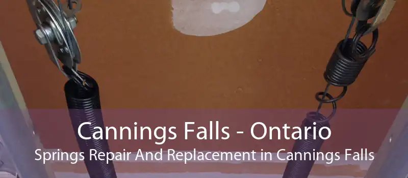 Cannings Falls - Ontario Springs Repair And Replacement in Cannings Falls