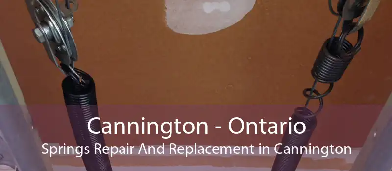 Cannington - Ontario Springs Repair And Replacement in Cannington