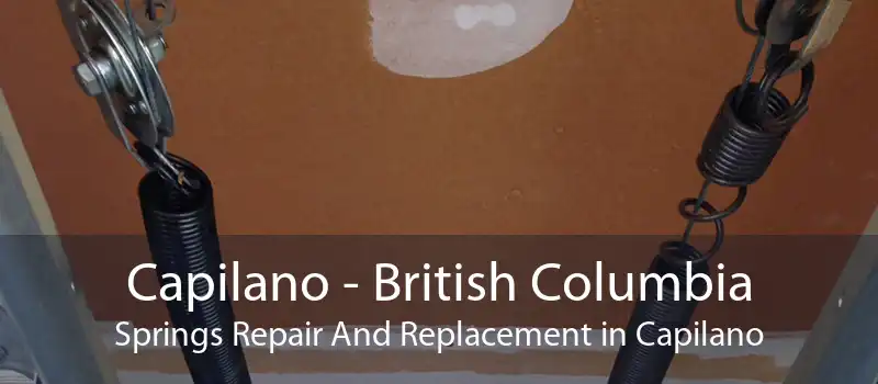 Capilano - British Columbia Springs Repair And Replacement in Capilano