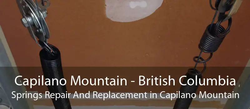 Capilano Mountain - British Columbia Springs Repair And Replacement in Capilano Mountain