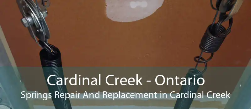 Cardinal Creek - Ontario Springs Repair And Replacement in Cardinal Creek
