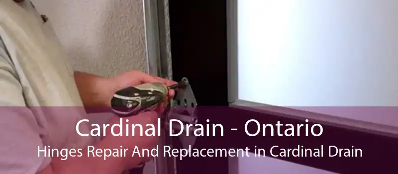 Cardinal Drain - Ontario Hinges Repair And Replacement in Cardinal Drain