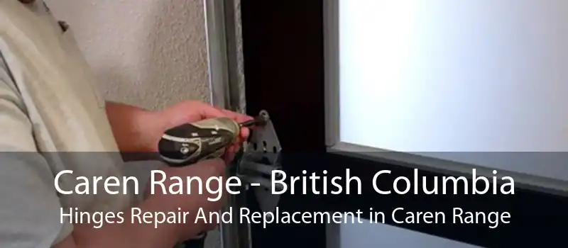 Caren Range - British Columbia Hinges Repair And Replacement in Caren Range
