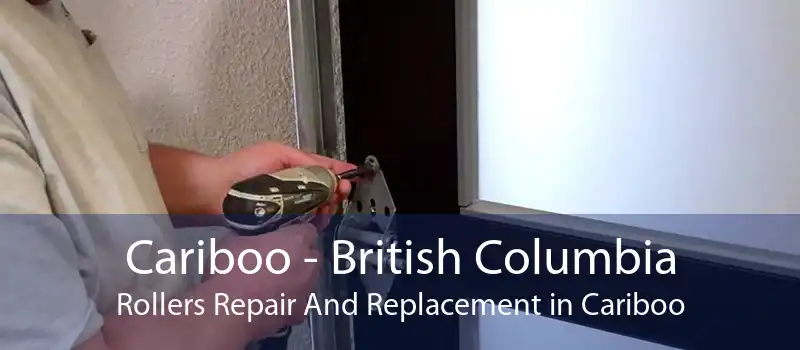 Cariboo - British Columbia Rollers Repair And Replacement in Cariboo