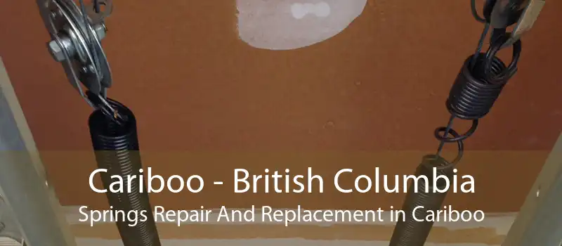 Cariboo - British Columbia Springs Repair And Replacement in Cariboo