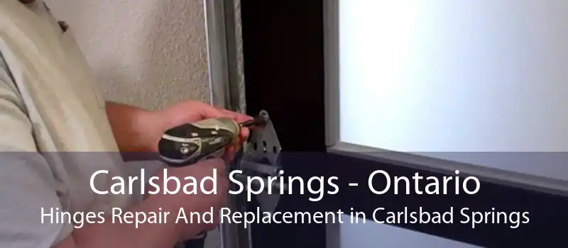 Carlsbad Springs - Ontario Hinges Repair And Replacement in Carlsbad Springs