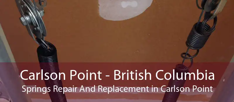 Carlson Point - British Columbia Springs Repair And Replacement in Carlson Point