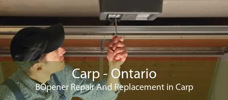Carp - Ontario BOpener Repair And Replacement in Carp