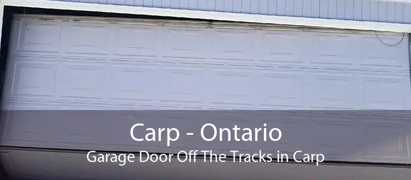 Carp - Ontario Garage Door Off The Tracks in Carp