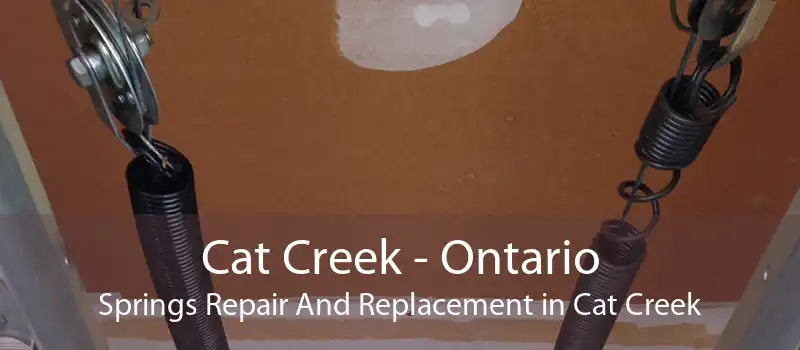 Cat Creek - Ontario Springs Repair And Replacement in Cat Creek
