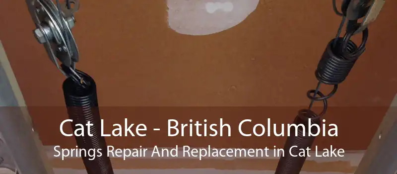 Cat Lake - British Columbia Springs Repair And Replacement in Cat Lake