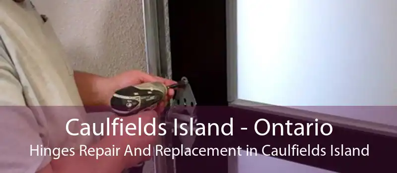 Caulfields Island - Ontario Hinges Repair And Replacement in Caulfields Island